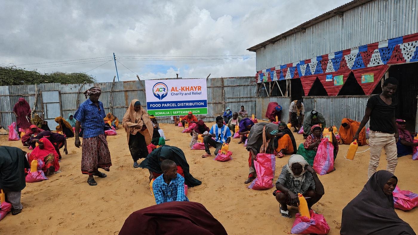 Food distribution photo 7
