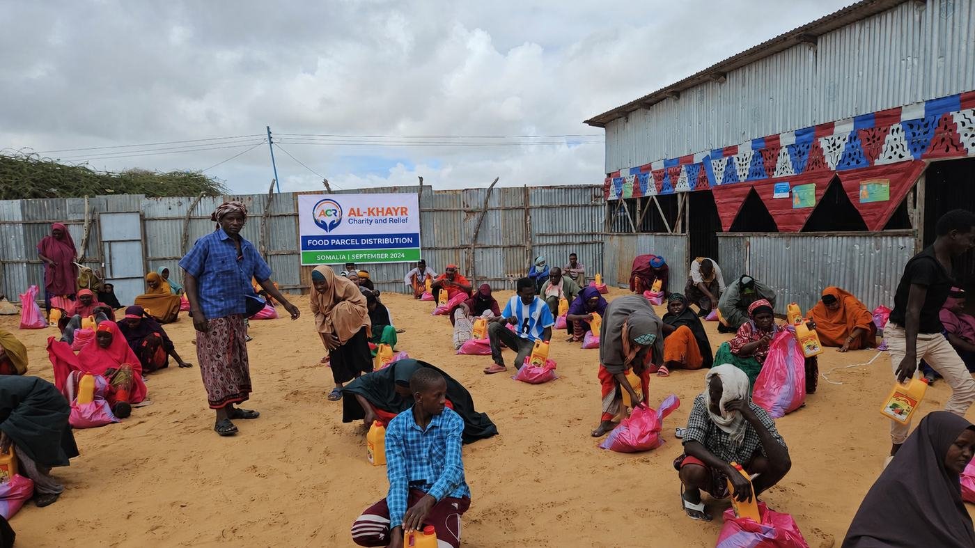 Food distribution photo 8