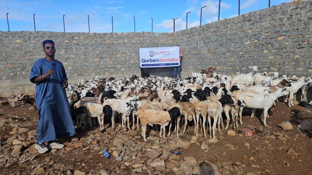 Qurban photo 4
