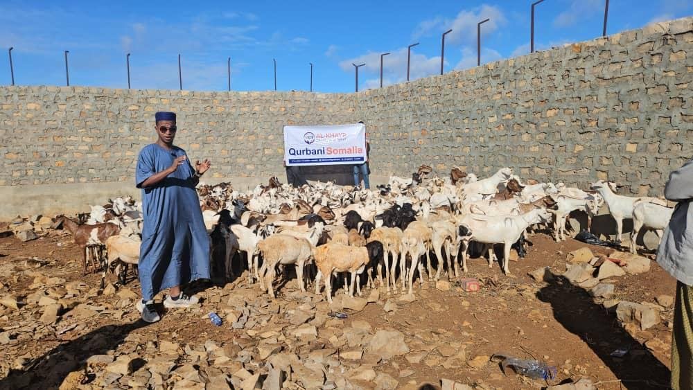 Qurban photo 14