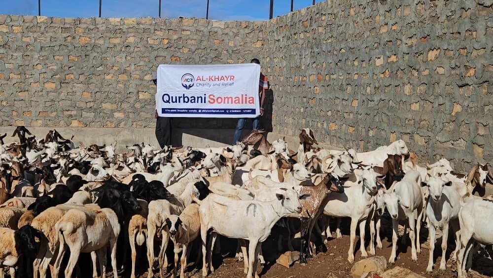 Qurban photo 17