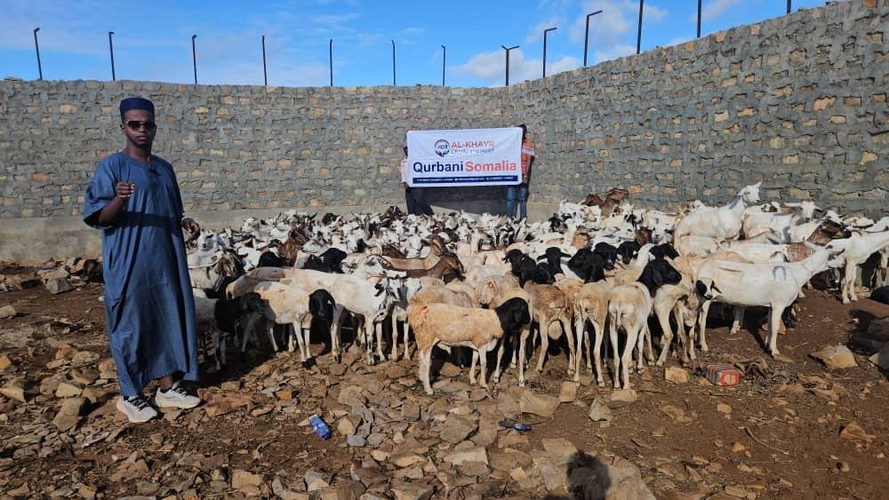 Qurban photo 18
