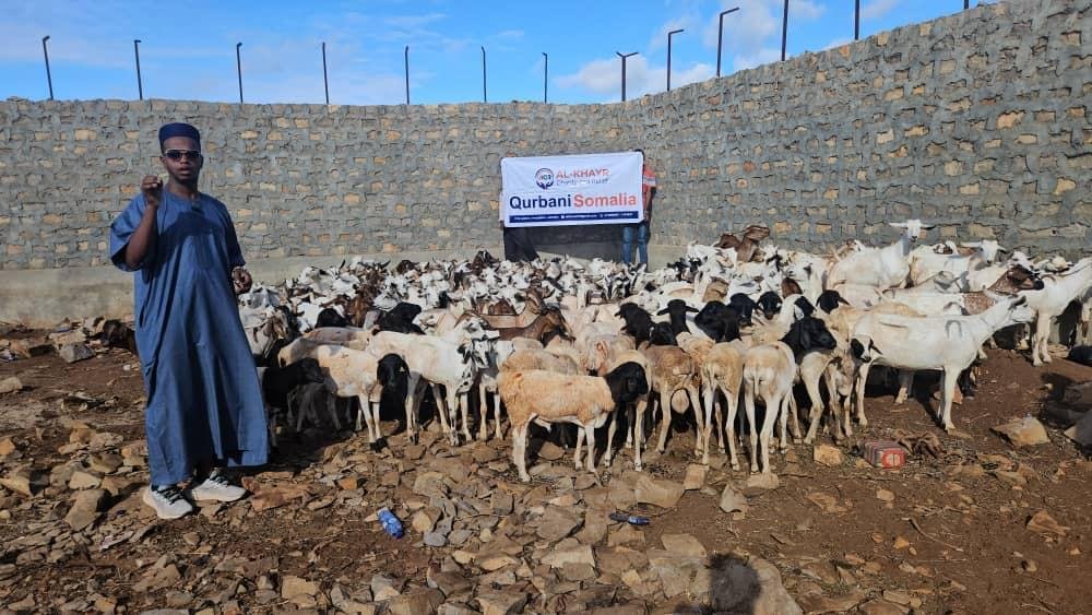 Qurban photo 5