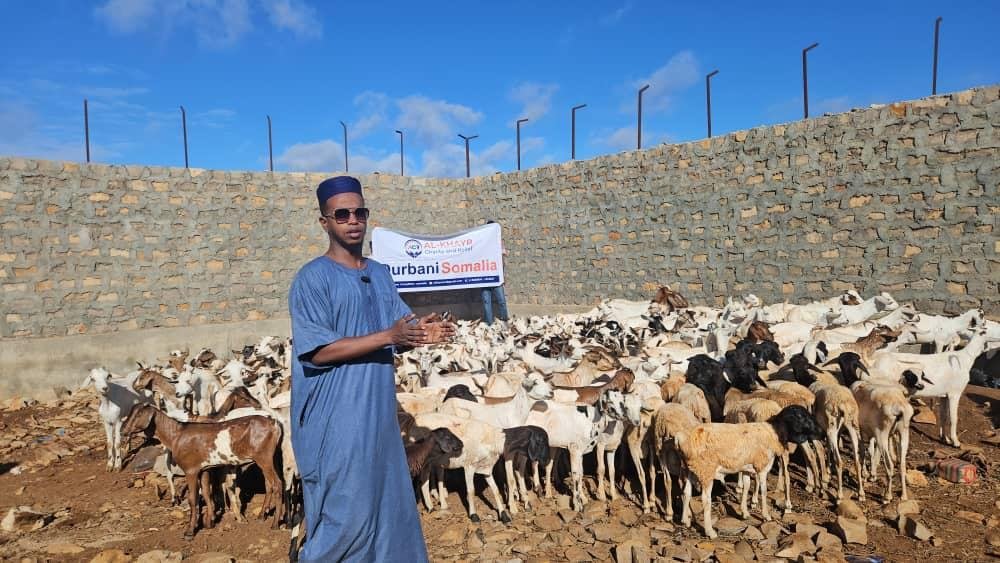 Qurban photo 6