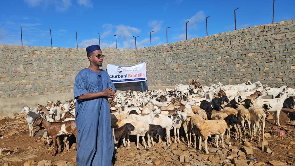 Qurban photo 7