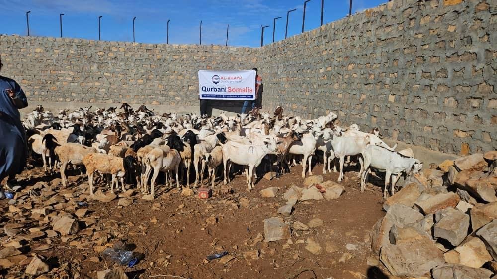 Qurban photo 8