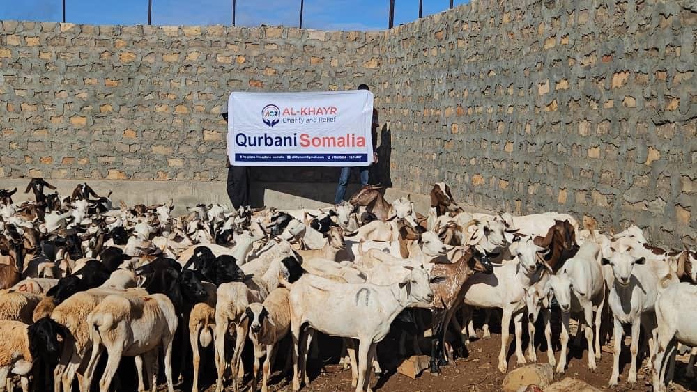 Qurban photo 9