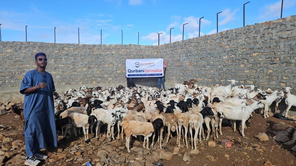 Qurban photo 11
