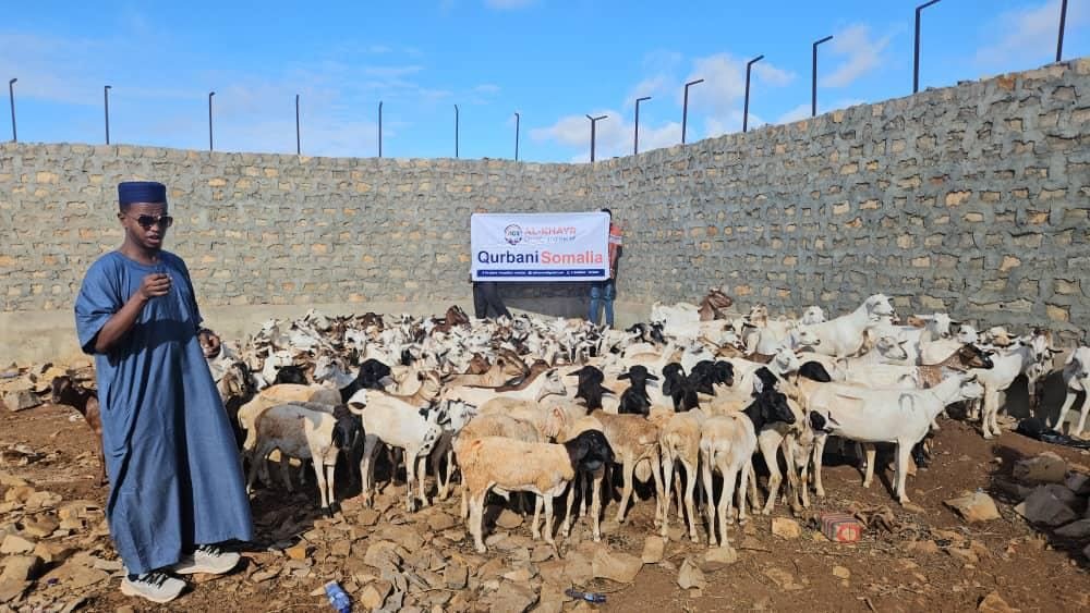 Qurban project
